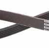 RIDEX PLUS Keilrippenriemen für FORD Fiesta Mk5 Schrägheck (JH1, JD1, JH3, JD3) Bild RIDEX PLUS Keilrippenriemen für FORD Fiesta Mk5 Schrägheck (JH1, JD1, JH3, JD3)