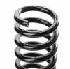 RIDEX 188C0928 2x Federn Fahrwerksfedern Hinten passend für MERCEDES-BENZ Bild RIDEX 188C0928 2x Federn Fahrwerksfedern Hinten passend für MERCEDES-BENZ