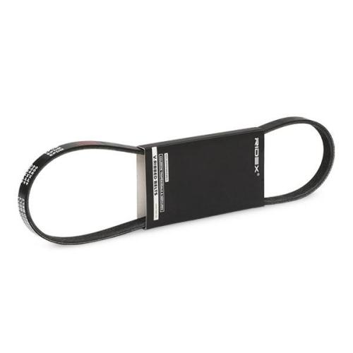 RIDEX Keilrippenriemen für BMW 5 Touring (F11) Bild RIDEX Keilrippenriemen für BMW 5 Touring (F11)