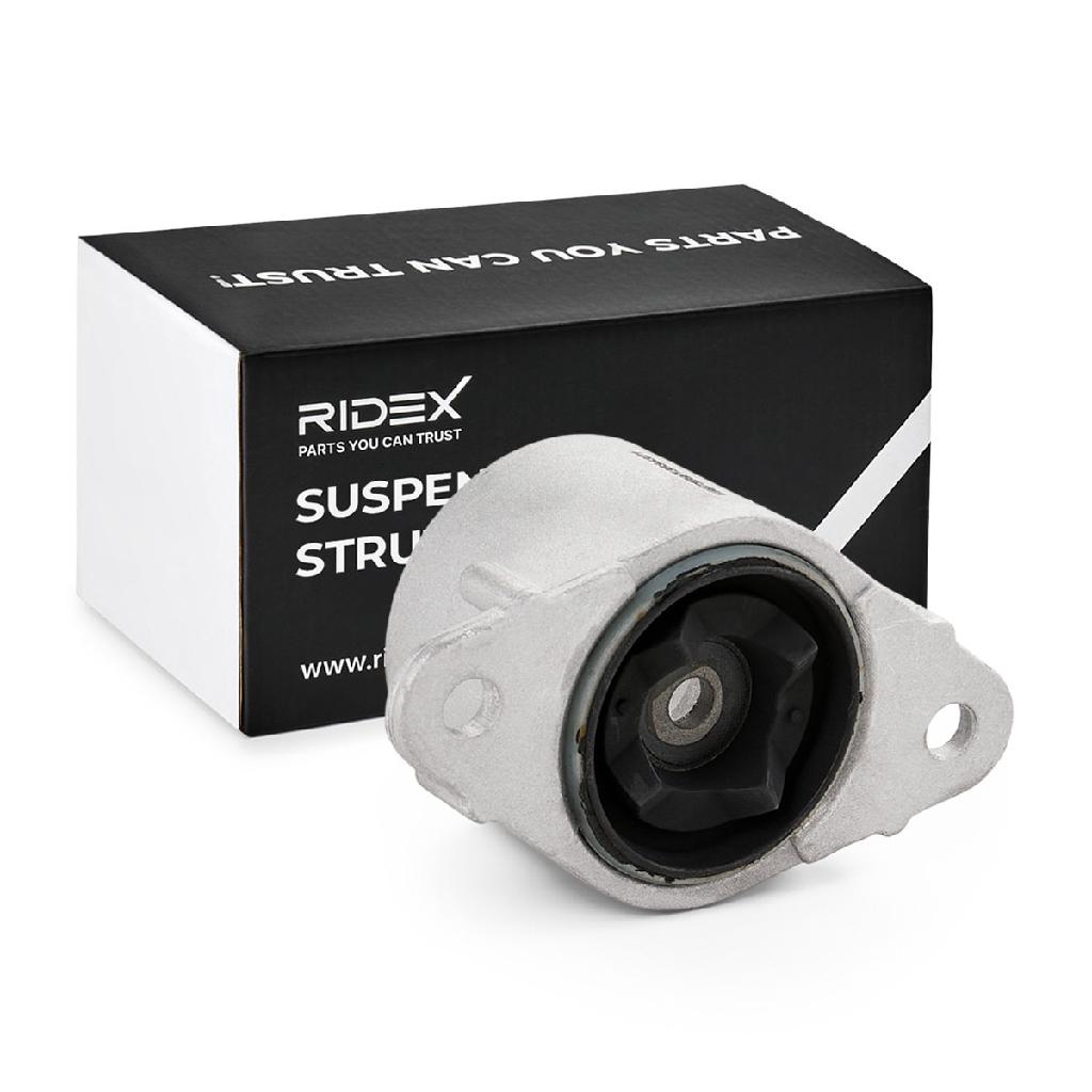 RIDEX 1180S0337 Federbeinstützlager ohne Kugellager Hinten beidseitig für FORD
