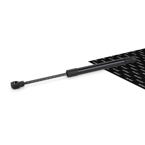 RIDEX 219G0354 Heckklappendämpfer beidseitig Länge:280mm 30N Hub: 100mm Bild RIDEX 219G0354 Heckklappendämpfer beidseitig Länge:280mm 30N Hub: 100mm