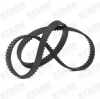 STARK Zahnriemen für OPEL ZAFIRA B (A05) Bild STARK Zahnriemen für OPEL ZAFIRA B (A05)