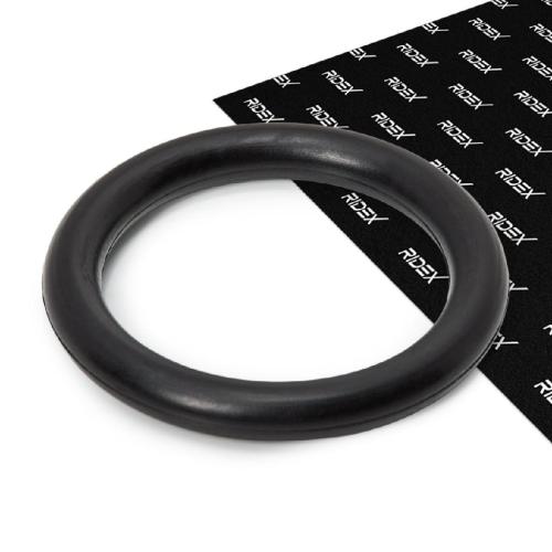 RIDEX 42G0083 Ansaugkrümmer-Dichtung für FORD Fiesta Mk6 Schrägheck (JA8, JR8) Bild RIDEX 42G0083 Ansaugkrümmer-Dichtung für FORD Fiesta Mk6 Schrägheck (JA8, JR8)