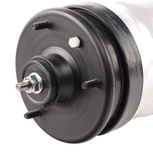 RIDEX 4118A0016 Luftfederbein hinten für LAND ROVER Range Rover Sport (L320) Bild RIDEX 4118A0016 Luftfederbein hinten für LAND ROVER Range Rover Sport (L320)