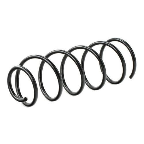 RIDEX 188C0594 2x Federn Fahrwerksfedern Vorne passend für PEUGEOT 406 (8B) Bild RIDEX 188C0594 2x Federn Fahrwerksfedern Vorne passend für PEUGEOT 406 (8B)