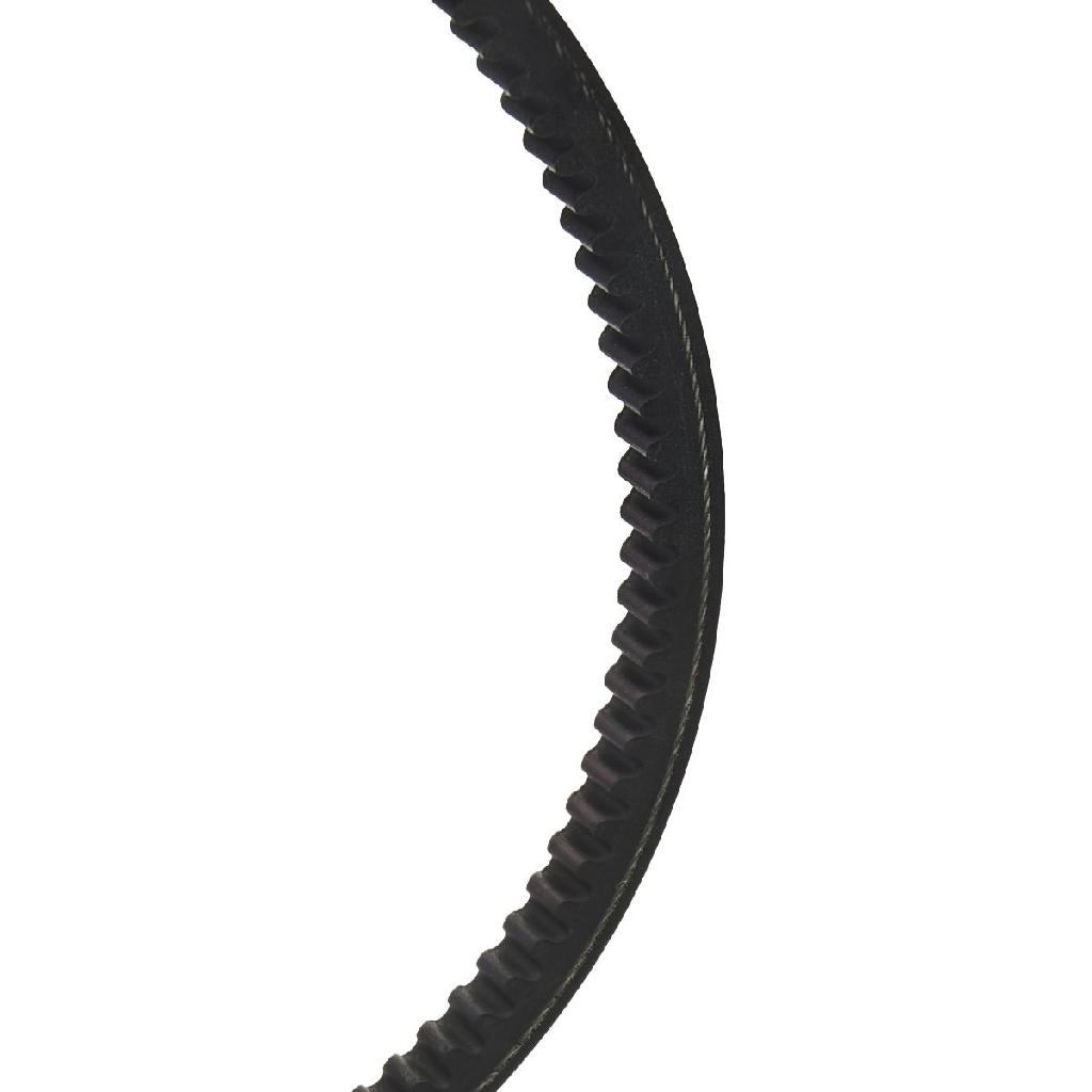 RIDEX 10C0053 Keilriemen 850mm für BMW 5 Limousine (E34) 3 Cabrio (E30) 7 (E32)