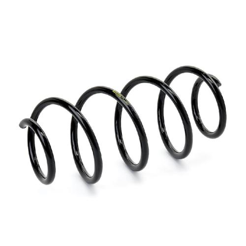 RIDEX PLUS 188C0155P 2x Federn Fahrwerksfedern Vorne für VW Golf 5I (5K1) Bild RIDEX PLUS 188C0155P 2x Federn Fahrwerksfedern Vorne für VW Golf 5I (5K1)