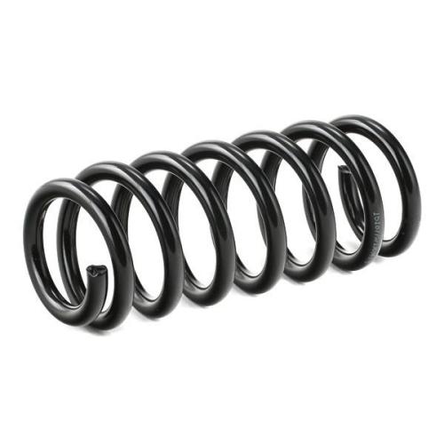 RIDEX 188C0489 2x Federn Fahrwerksfedern Vorne für SUZUKI Vitara SUV Bild RIDEX 188C0489 2x Federn Fahrwerksfedern Vorne für SUZUKI Vitara SUV