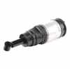 RIDEX 4118A0016 Luftfederbein hinten für LAND ROVER Range Rover Sport (L320) Bild RIDEX 4118A0016 Luftfederbein hinten für LAND ROVER Range Rover Sport (L320)
