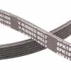 Keilrippenriemen RIDEX PLUS 6PK1873 für VW POLO (9N) Polo Schrägheck (6R1, 6C1) Bild Keilrippenriemen RIDEX PLUS 6PK1873 für VW POLO (9N) Polo Schrägheck (6R1, 6C1)