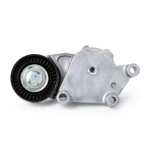 RIDEX Spannarm Keilrippenriemen für FORD Fiesta Mk6 Schrägheck (JA8, JR8) Bild RIDEX Spannarm Keilrippenriemen für FORD Fiesta Mk6 Schrägheck (JA8, JR8)