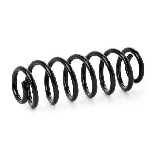 RIDEX 188C0507 2x Federn Fahrwerksfedern Hinten für VW TOURAN (1T1, 1T2) Bild RIDEX 188C0507 2x Federn Fahrwerksfedern Hinten für VW TOURAN (1T1, 1T2)