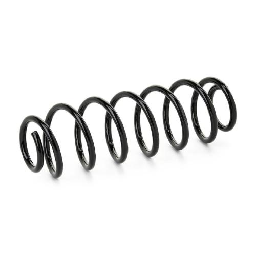 RIDEX 188C0868 2x Federn Fahrwerksfedern Hinten für AUDI A2 (8Z0) Bild RIDEX 188C0868 2x Federn Fahrwerksfedern Hinten für AUDI A2 (8Z0)
