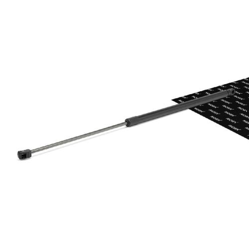 RIDEX Motorhaubendämpfer Vorne für VW Passat Variant (3C5) Bild RIDEX Motorhaubendämpfer Vorne für VW Passat Variant (3C5)