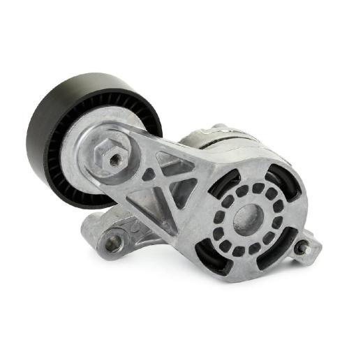 RIDEX PLUS Spannarm Keilrippenriemen für VW Golf 5 Schrägheck (1K1) Bild RIDEX PLUS Spannarm Keilrippenriemen für VW Golf 5 Schrägheck (1K1)