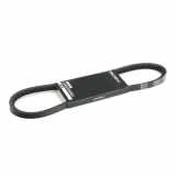 RIDEX 10C0050 Keilriemen 800mm für AUDI 80 Limousine (8C2, B4) 80 Cabriolet