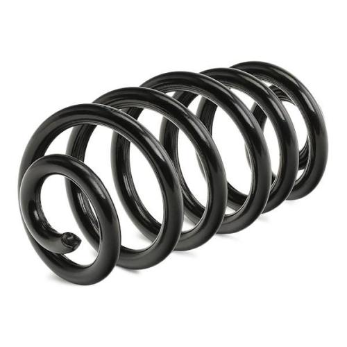 RIDEX 188C0277 2x Federn Fahrwerksfedern Hinten für AUDI A4 Avant (8ED, B7) Bild RIDEX 188C0277 2x Federn Fahrwerksfedern Hinten für AUDI A4 Avant (8ED, B7)