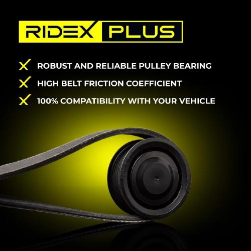 RIDEX PLUS 542R0174P Keilrippenriemensatz 6-Rippenanzahl für BMW 3 Touring (E91) Bild RIDEX PLUS 542R0174P Keilrippenriemensatz 6-Rippenanzahl für BMW 3 Touring (E91)