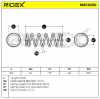 RIDEX 188C0250 2x Federn Fahrwerksfedern Hinten für OPEL AGILA (A) (H00) Bild RIDEX 188C0250 2x Federn Fahrwerksfedern Hinten für OPEL AGILA (A) (H00)
