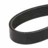 RIDEX Keilrippenriemen für VW Golf 5II Schrägheck (5G1, BQ1, BE1, BE2) Bild RIDEX Keilrippenriemen für VW Golf 5II Schrägheck (5G1, BQ1, BE1, BE2)