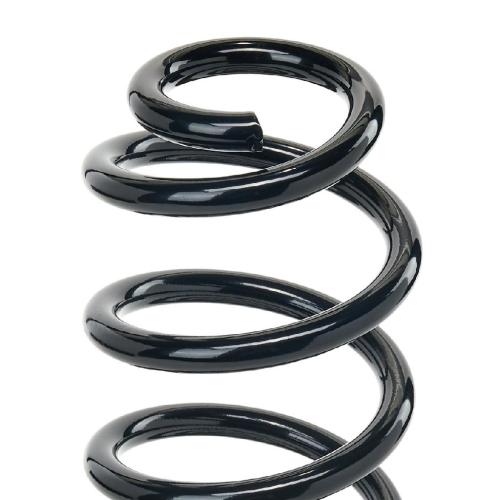RIDEX 188C3373 2x Federn Fahrwerksfedern Hinten für VW Passat Variant Bild RIDEX 188C3373 2x Federn Fahrwerksfedern Hinten für VW Passat Variant