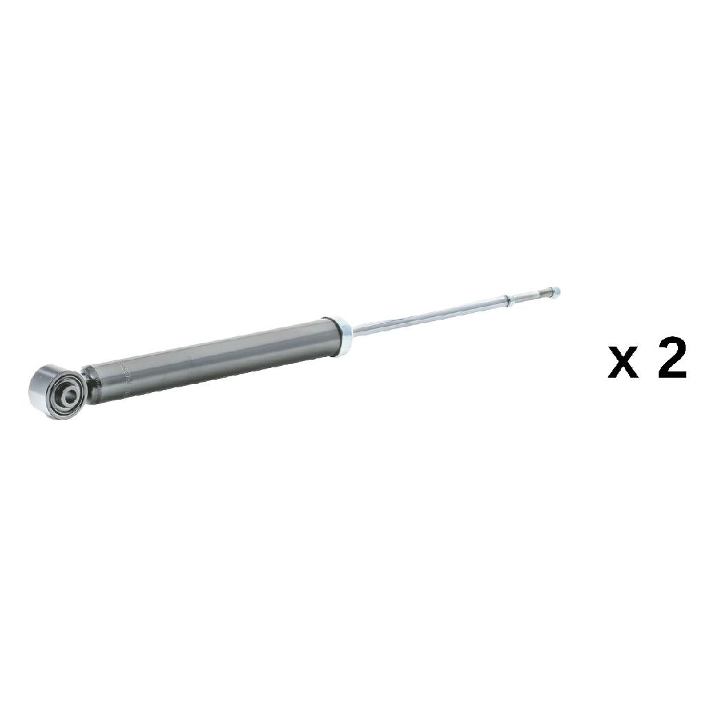 RIDEX 854S20872 2x Stoßdämpfer Gasdruck Hinten für MITSUBISHI GRANDIS (NAW)