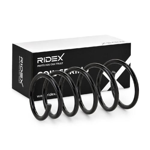 RIDEX 188C0095 2x Federn Fahrwerksfedern Vorne für RENAULT Megane 1 (BA0/1) Bild RIDEX 188C0095 2x Federn Fahrwerksfedern Vorne für RENAULT Megane 1 (BA0/1)