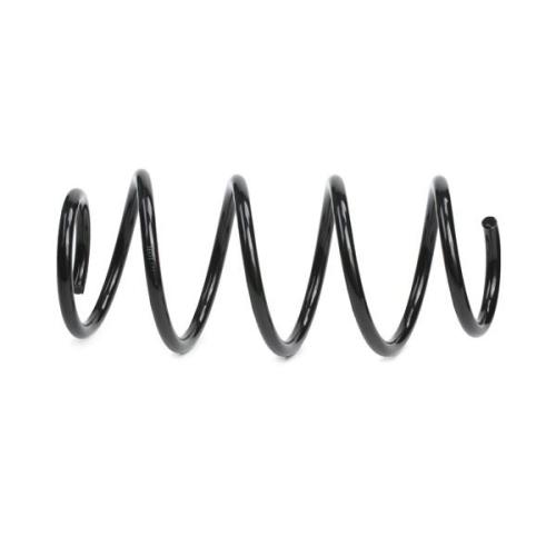 RIDEX 188C0059 2x Federn Fahrwerksfedern Vorne für VW Golf 5I (5K1) Bild RIDEX 188C0059 2x Federn Fahrwerksfedern Vorne für VW Golf 5I (5K1)