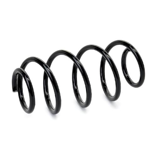RIDEX PLUS 188C0089P 2x Federn Fahrwerksfedern Vorne für VW Golf 5I (5K1) Bild RIDEX PLUS 188C0089P 2x Federn Fahrwerksfedern Vorne für VW Golf 5I (5K1)