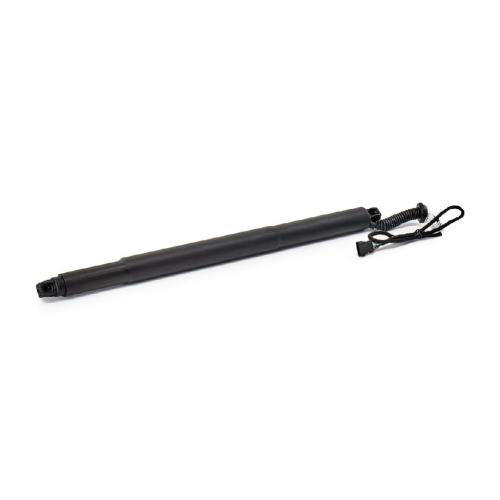 RIDEX 219G1535 Heckklappendämpfer für BMW X6 (F16, F86) 51247318651 Bild RIDEX 219G1535 Heckklappendämpfer für BMW X6 (F16, F86) 51247318651