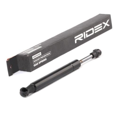 RIDEX Motorhaubendämpfer für FIAT MULTIPLA (186) Bild RIDEX Motorhaubendämpfer für FIAT MULTIPLA (186)