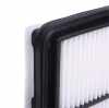 RIDEX 8A0865 Motor Luftfilter Filtereinsatz mit Vorfilter für NISSAN Qashqai II Bild RIDEX 8A0865 Motor Luftfilter Filtereinsatz mit Vorfilter für NISSAN Qashqai II