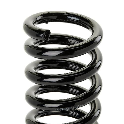 RIDEX 188C1502 2x Federn Fahrwerksfedern Hinten für SSANGYONG Bild RIDEX 188C1502 2x Federn Fahrwerksfedern Hinten für SSANGYONG