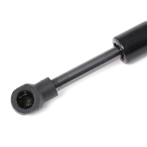 RIDEX Motorhaubendämpfer für FIAT MULTIPLA (186) Bild RIDEX Motorhaubendämpfer für FIAT MULTIPLA (186)