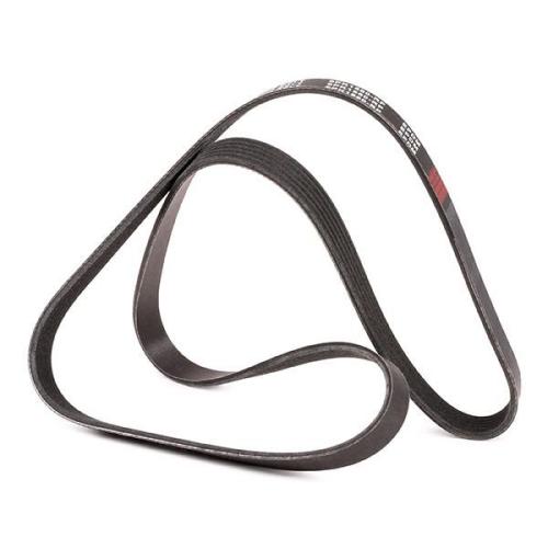 Keilrippenriemen RIDEX PLUS 6PK1580 für AUDI A4 Avant (8K5, B8) A6 Avant Q5 Bild Keilrippenriemen RIDEX PLUS 6PK1580 für AUDI A4 Avant (8K5, B8) A6 Avant Q5