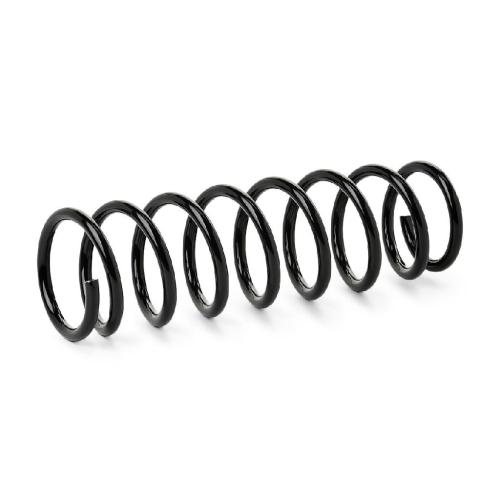 RIDEX 188C1654 2x Federn Fahrwerksfedern Vorne für OPEL AGILA (A) (H00) Bild RIDEX 188C1654 2x Federn Fahrwerksfedern Vorne für OPEL AGILA (A) (H00)