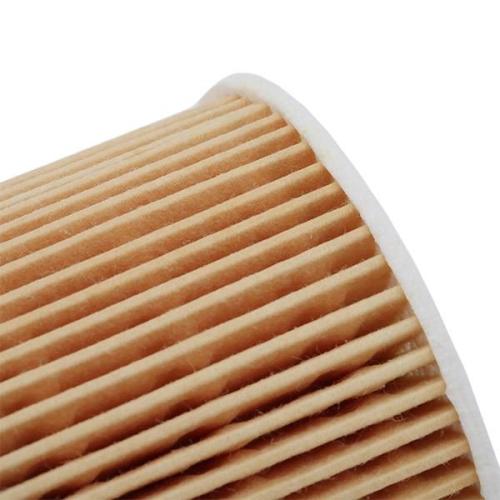 RIDEX Ölfilter Motorölfilter Filtereinsatz mit Dichtungen 7O0125 für BMW für VW Bild RIDEX Ölfilter Motorölfilter Filtereinsatz mit Dichtungen 7O0125 für BMW für VW