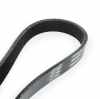 RIDEX Keilrippenriemen für VW Golf 5II Schrägheck (5G1, BQ1, BE1, BE2) Bild RIDEX Keilrippenriemen für VW Golf 5II Schrägheck (5G1, BQ1, BE1, BE2)