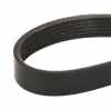RIDEX Keilrippenriemen für VW Golf 1V Schrägheck (1J1) Bild RIDEX Keilrippenriemen für VW Golf 1V Schrägheck (1J1)