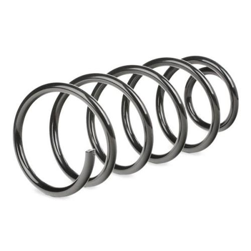 RIDEX 188C0160 2x Federn Fahrwerksfedern Vorne für AUDI A3 Schrägheck (8L1) Bild RIDEX 188C0160 2x Federn Fahrwerksfedern Vorne für AUDI A3 Schrägheck (8L1)