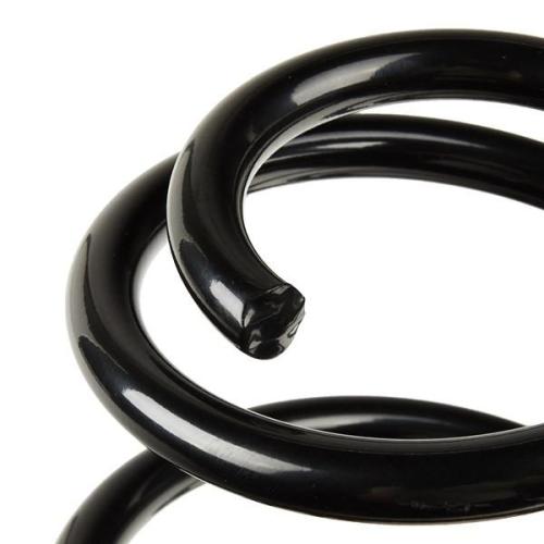RIDEX 188C0788 2x Federn Fahrwerksfedern Vorne für AUDI A3 Schrägheck (8L1) Bild RIDEX 188C0788 2x Federn Fahrwerksfedern Vorne für AUDI A3 Schrägheck (8L1)