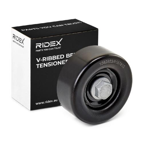 RIDEX 310T0186 Spannrolle Keilrippenriemen für HYUNDAI GETZ (TB) 2528727001 Bild RIDEX 310T0186 Spannrolle Keilrippenriemen für HYUNDAI GETZ (TB) 2528727001