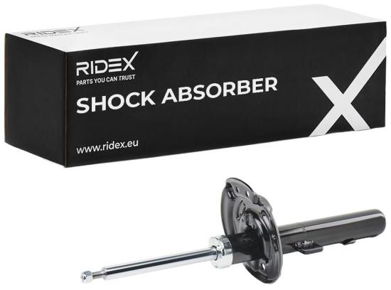 RIDEX 854S18193 2x Stoßdämpfer Federbein Gasdruck Vorne für RENAULT 543022967R Bild RIDEX 854S18193 2x Stoßdämpfer Federbein Gasdruck Vorne für RENAULT 543022967R