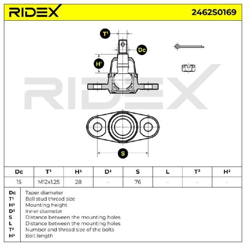 RIDEX 2462S0169 Traggelenk Führungsgelenk Vorne für KIA RIO II (JB) für HYUNDAI Bild RIDEX 2462S0169 Traggelenk Führungsgelenk Vorne für KIA RIO II (JB) für HYUNDAI