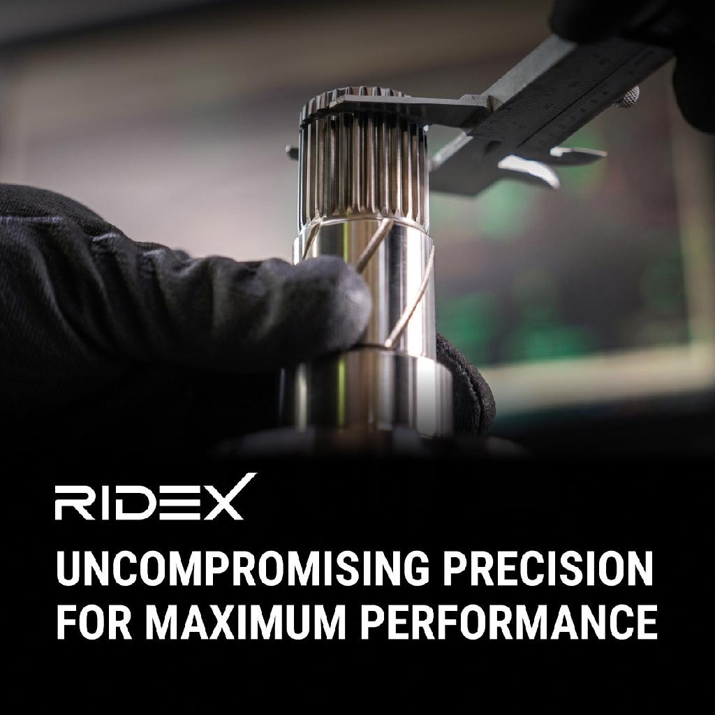 RIDEX Lagerung Lenker Vorne beidseitig Hinten für VW Golf 1V Schrägheck (1J1)