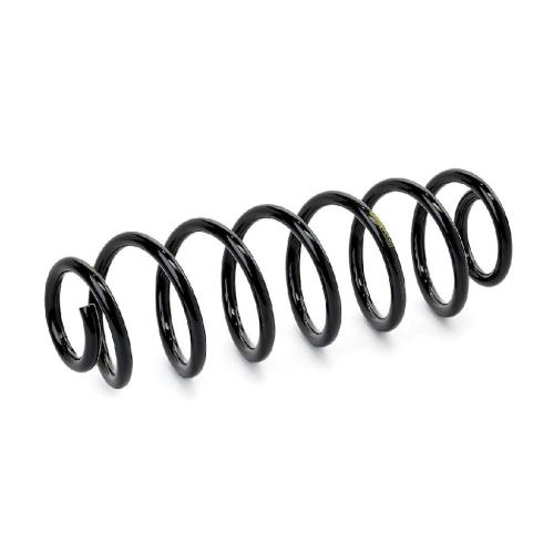 RIDEX PLUS 188C0090P 2x Federn Fahrwerksfedern Hinten für VW Golf 5I (5K1) Bild RIDEX PLUS 188C0090P 2x Federn Fahrwerksfedern Hinten für VW Golf 5I (5K1)
