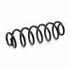 RIDEX PLUS 188C0090P 2x Federn Fahrwerksfedern Hinten für VW Golf 5I (5K1) Bild RIDEX PLUS 188C0090P 2x Federn Fahrwerksfedern Hinten für VW Golf 5I (5K1)