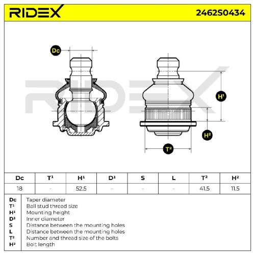 RIDEX 2462S0434 Traggelenk Führungsgelenk Vorne für RENAULT Clio 1II Schrägheck Bild RIDEX 2462S0434 Traggelenk Führungsgelenk Vorne für RENAULT Clio 1II Schrägheck