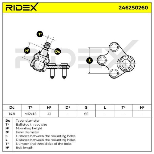 RIDEX 2462S0260 Traggelenk Führungsgelenk Vorne für VW POLO (9N) Polo Schrägheck Bild RIDEX 2462S0260 Traggelenk Führungsgelenk Vorne für VW POLO (9N) Polo Schrägheck