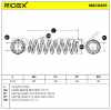 RIDEX 188C0205 2x Federn Fahrwerksfedern Hinten für SKODA 6Q0511115M Bild RIDEX 188C0205 2x Federn Fahrwerksfedern Hinten für SKODA 6Q0511115M